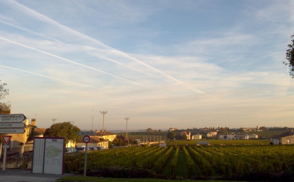 Top of my journey, the highest point in St Emilion